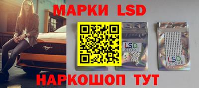 прущие грибы Рыбинск