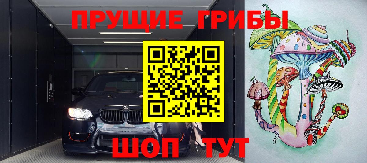 Псилоцибиновые грибы мицелий Сосновый Бор